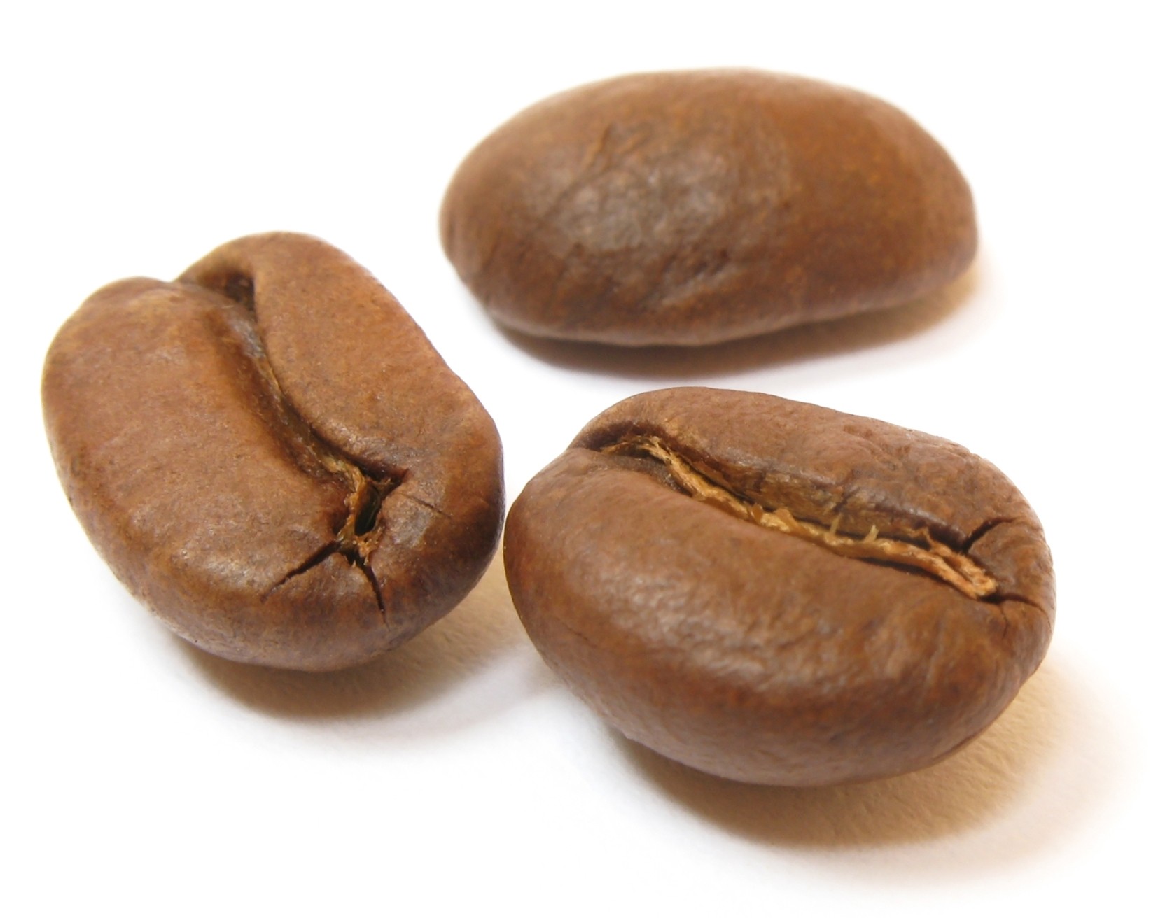 Organic Gesha Arabica Premium Roast