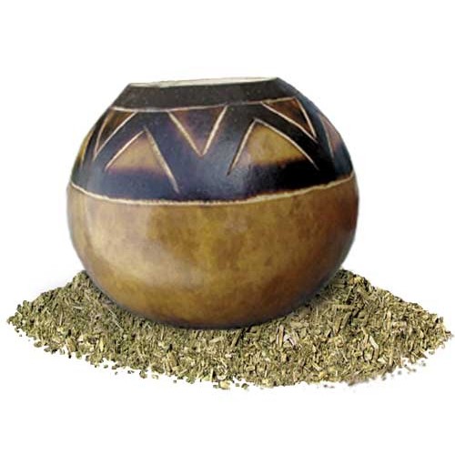 Organic Fresh Green Yerba Mate Tea by Mate Factor