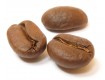 Organic Gesha Arabica Premium Roast